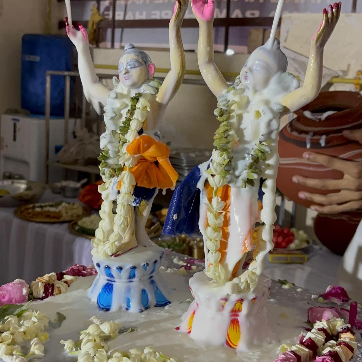 Maha abhishek of Sri Sri Nitai-Gauranga during Gaura Purnima at ISKCON Rewari